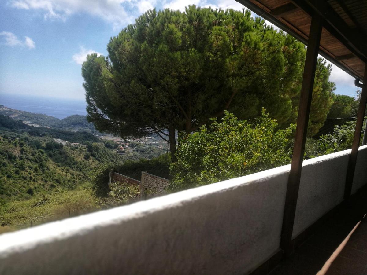 In - Il Geko Blu Apartment