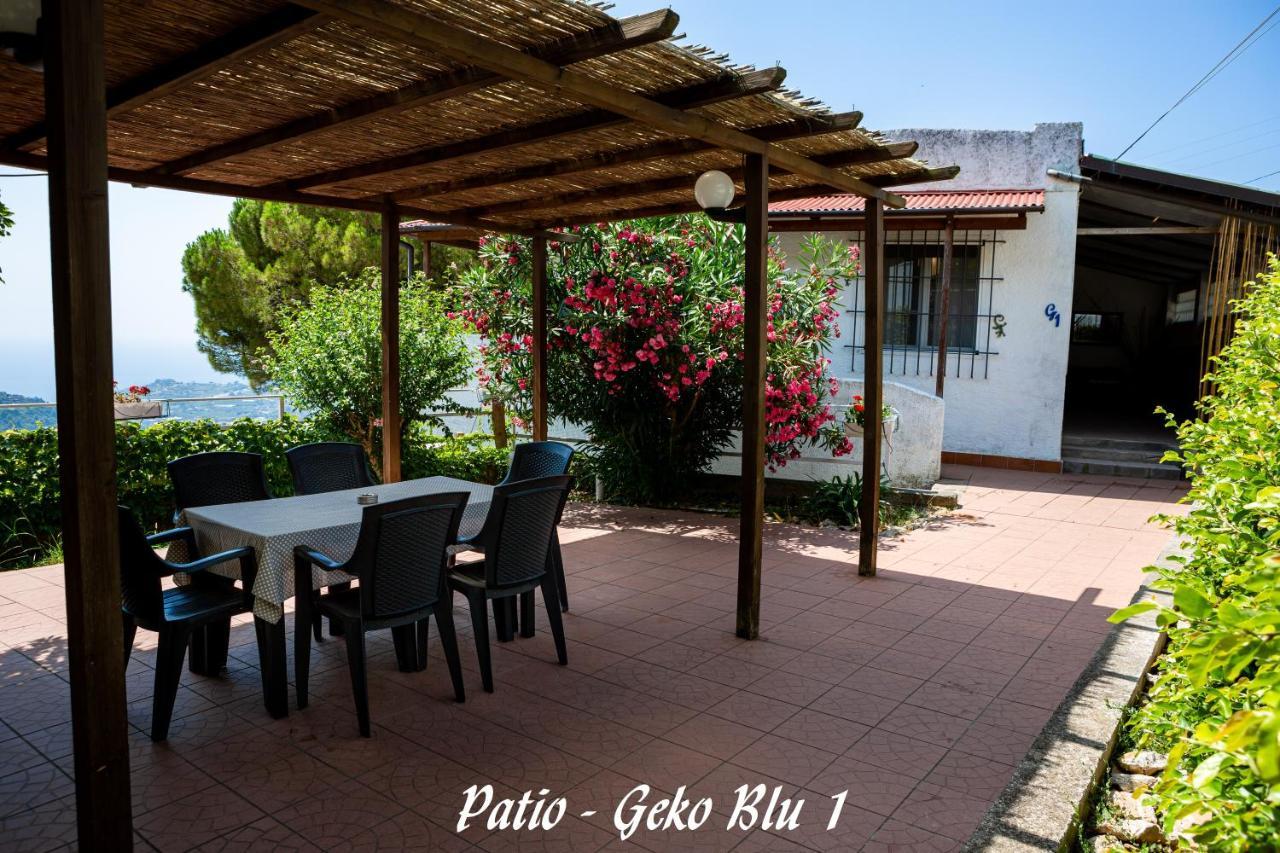In - Il Geko Blu *