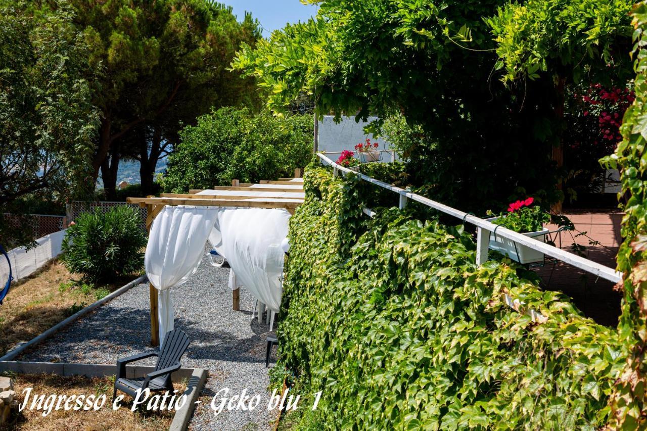 In - Il Geko Blu Sanremo